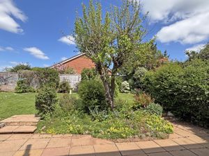 Photo 23- click for photo gallery